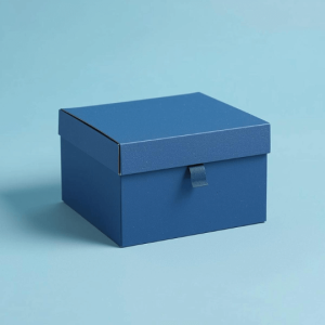 custom box two piece